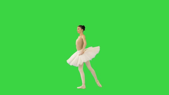 Young Professional Ballerina Makes Reverence on a Green Screen Chroma Key