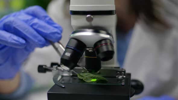 Closeup of Biologist Hands Putting Leaf Sample Under Microscope