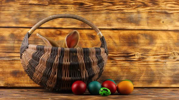 Little Brown Fluffy Cute Rabbit Sits in a Wicker Basket with Multicolored Assorted Easter Eggs