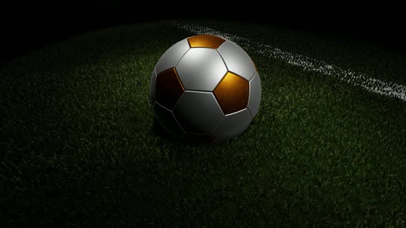 Soccer Ball Standing on Grass Field