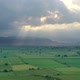 8K Wide Flat Plain Covered With Green Fields - VideoHive Item for Sale