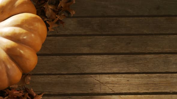 Halloween pumpkin with maple leaf on a wooden table 4k