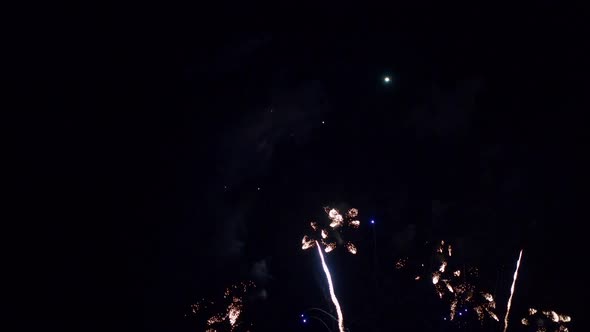 Colorful Firework display at night on sky background alt