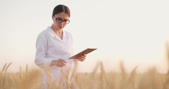 Young Female Worker Standing in Wheat Field