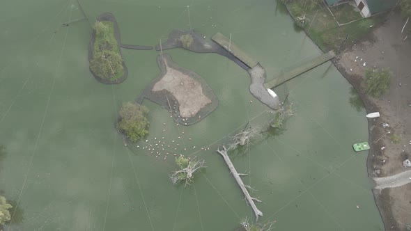 Aerial view of Dendrological Park in Shekvetili village, Georgia