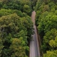 Motorcyclist Driving His Motorbike on Forest Road in the Country Side - VideoHive Item for Sale