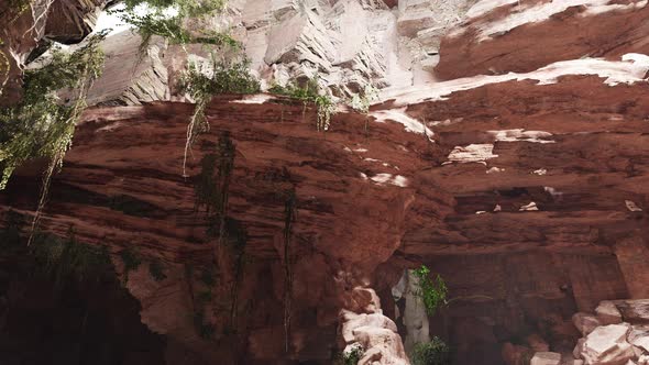 Inside a Limestone Cave with Plants and Sun Shine