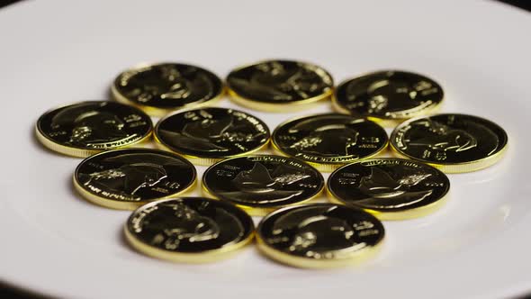 Rotating shot of Titan Bitcoins 