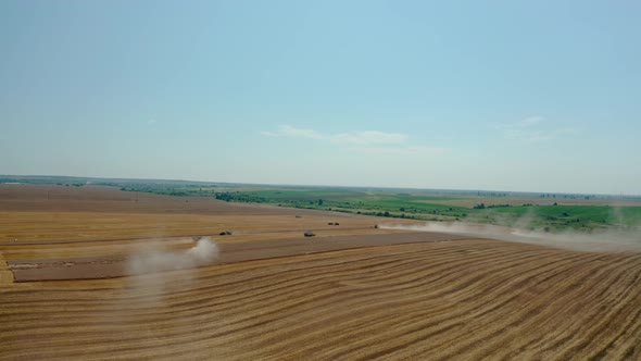 Aerial Drone View Many Harvesting Machine Cutting Down Ripe Wheat Crop Ready To Be Transported