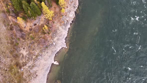 Top View of the Coast of a Stormy Mountain River Rocky Coast Coniferous Forest Clear Water