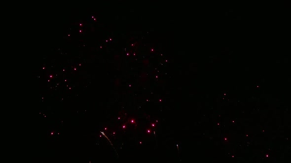 Colorful Firework display at night on sky background