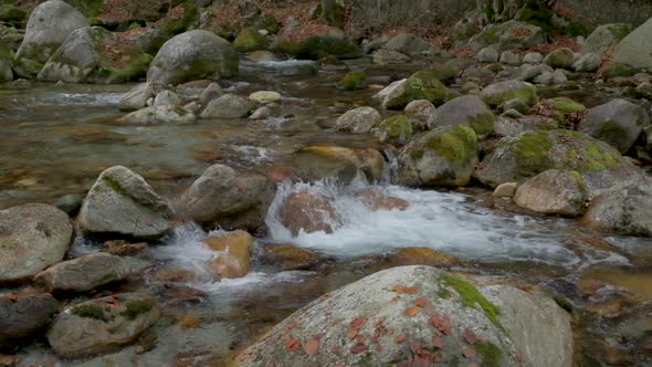 Mountain River in Autumn Forest at Slow Motion