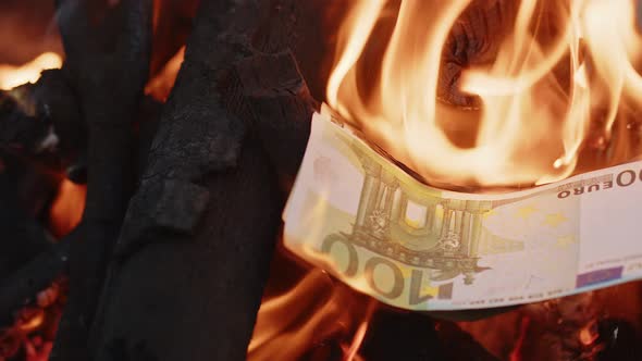 Burning Money In Wood Fire 2