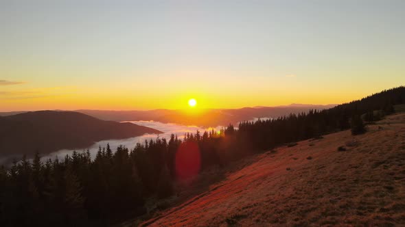 Aerial View of Foggy Evening Over Dark Pine Forest Trees at Bright Sunset