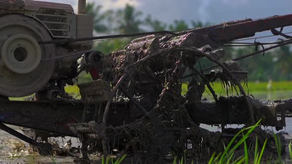 Superslowmotion Shot of Farmers That Cultivate the Field Before Planting Rice. The Field Is Covered