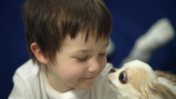 Portrait of a Beautiful Happy Boy Who is Licked By a Dog