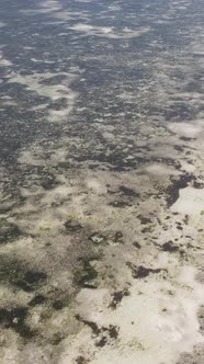 Vertical Video of Low Tide in the Ocean Near the Coast of Zanzibar Tanzania