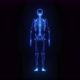 3d Holographic of Human Skeleton - VideoHive Item for Sale