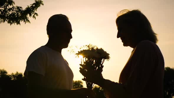 Silhouette of Old Man Giving Flowers to Woman, Romantic Date, Attention, Care