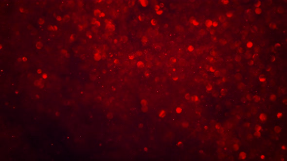 Abstract dark crimson red sparkly particle background with shiny bokeh lights LOOP.