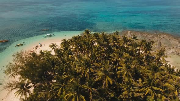 Tropical Beach with and Turquoise Sea