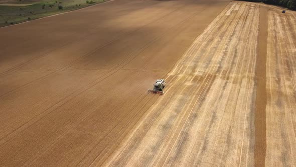 Combine harvester working in a wheat field. Flying above agriculture field. Aerial view