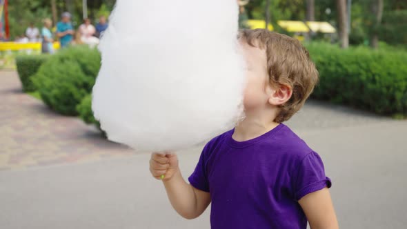 Little Child Biting Fluffy Candy Floss in Amusement Park