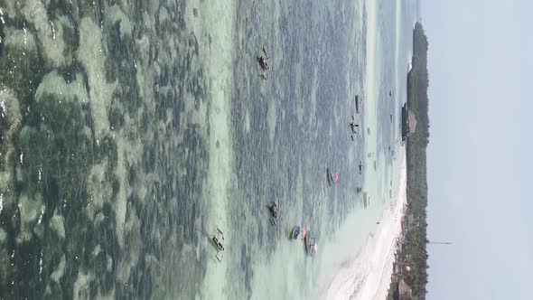 Vertical Video of the Ocean Near the Coast of Zanzibar Tanzania Aerial View