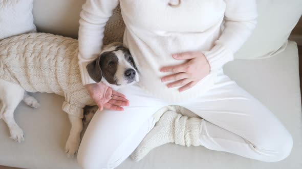 Pregnant Woman Resting With Dog At Home. Happiness And Coziness, Pregnancy And Hygge Concept