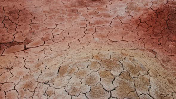 Dried and cracked clay soil surface