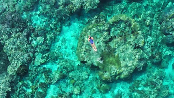 Aerial slow motion: woman snorkeling on coral reef tropical caribbean sea