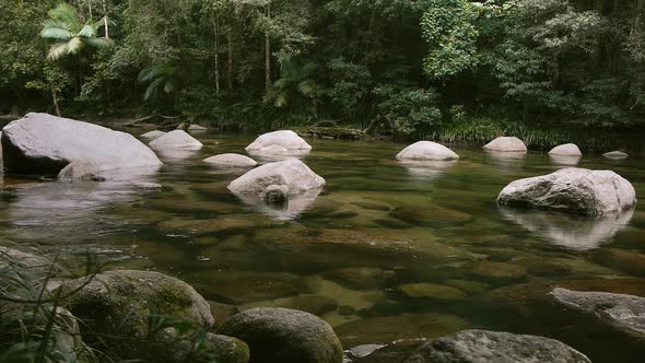 a Dolly Shot of a Tropical Rainforest River in Mossman Gorge