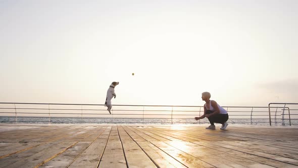 Young Woman Training Cute Dog Jack Russel Near the Sea Slow Motion