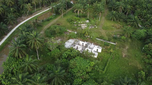 Aerial abandoned house in tree