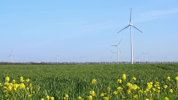 Aerial fly around wind turbines across spring agricultural field.
