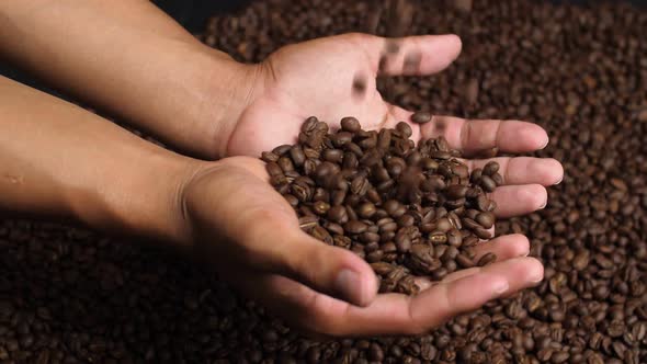 Coffee Beans Falling To Hands