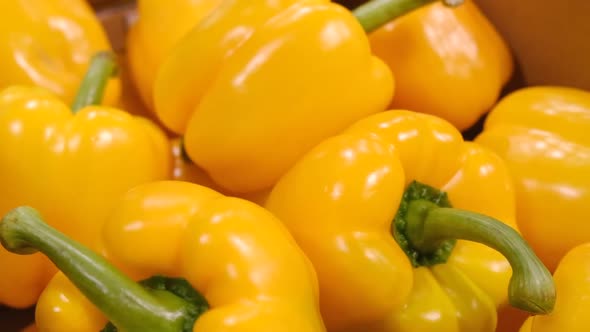 Yellow Pepper Harvest on the Stall of the Vegetable Market