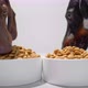 Two Young Dachshund Dogs or Puppies Eat Dry Diet Food White Bowls Close Up Video - VideoHive Item for Sale