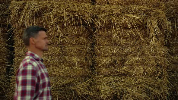 Professional Agronomist Walking Hay Stack on Golden Cropping Season Countryside