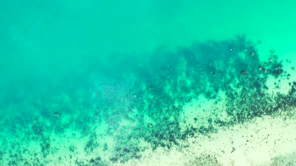 Aerial above seascape of luxury coast beach vacation by clear water and white sandy background of a 