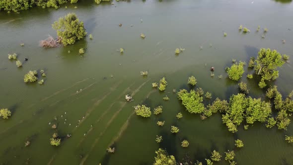 Aerial view excavator tire path