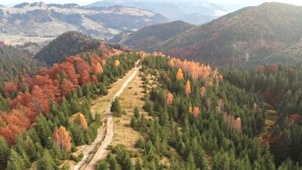 Aerial View of Autumn Mountains. Flying Over Red, Orange and Green Trees. Autumn Concept.