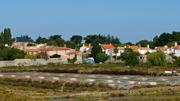 Noirmoutier-en-l'Île, Noirmoutier island,Bay of Biscay, Vendée, France