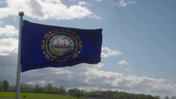 New Hampshire Flag on a Flagpole Waving in the Wind Blue Sky Background