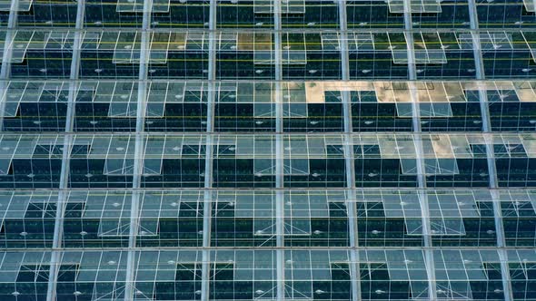 Aerial Top View of Venlo or Dutch Greenhouse Plant