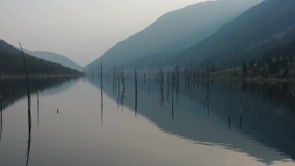 Aerial, Earth Quake Lake in Montana. Dead tree trunks reflection on lake