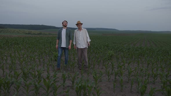 Farmers Walk and Talk on the Corn Fields