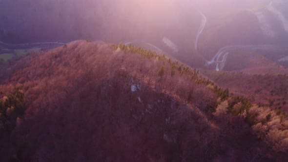 Aerial Shot Spring Forest Illuminated By the Setting Sun