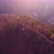 Aerial Shot Spring Forest Illuminated By the Setting Sun - VideoHive Item for Sale