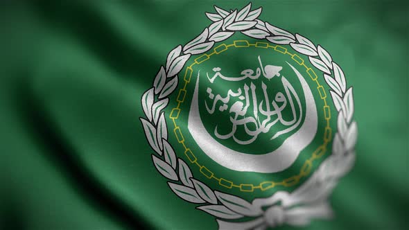 Arab League Flag Angle